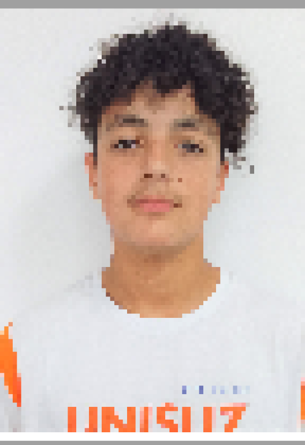 Arthur Longuinho de Souza