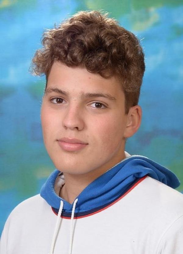 Decarli
