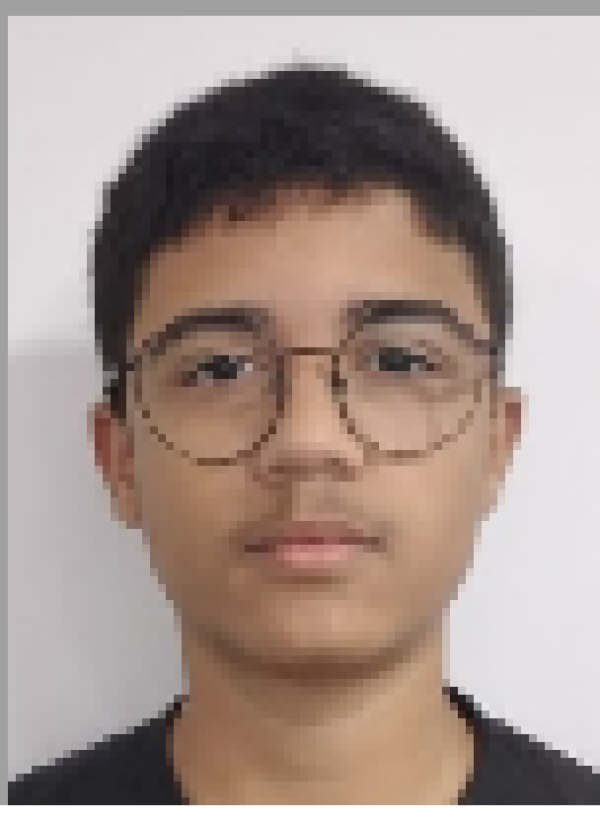 Vinicius Araujo Marcelino