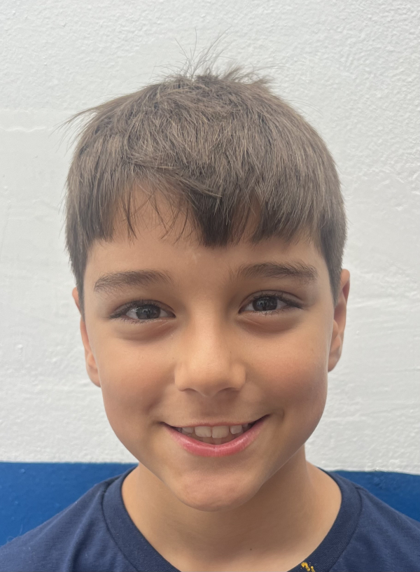 DAVI